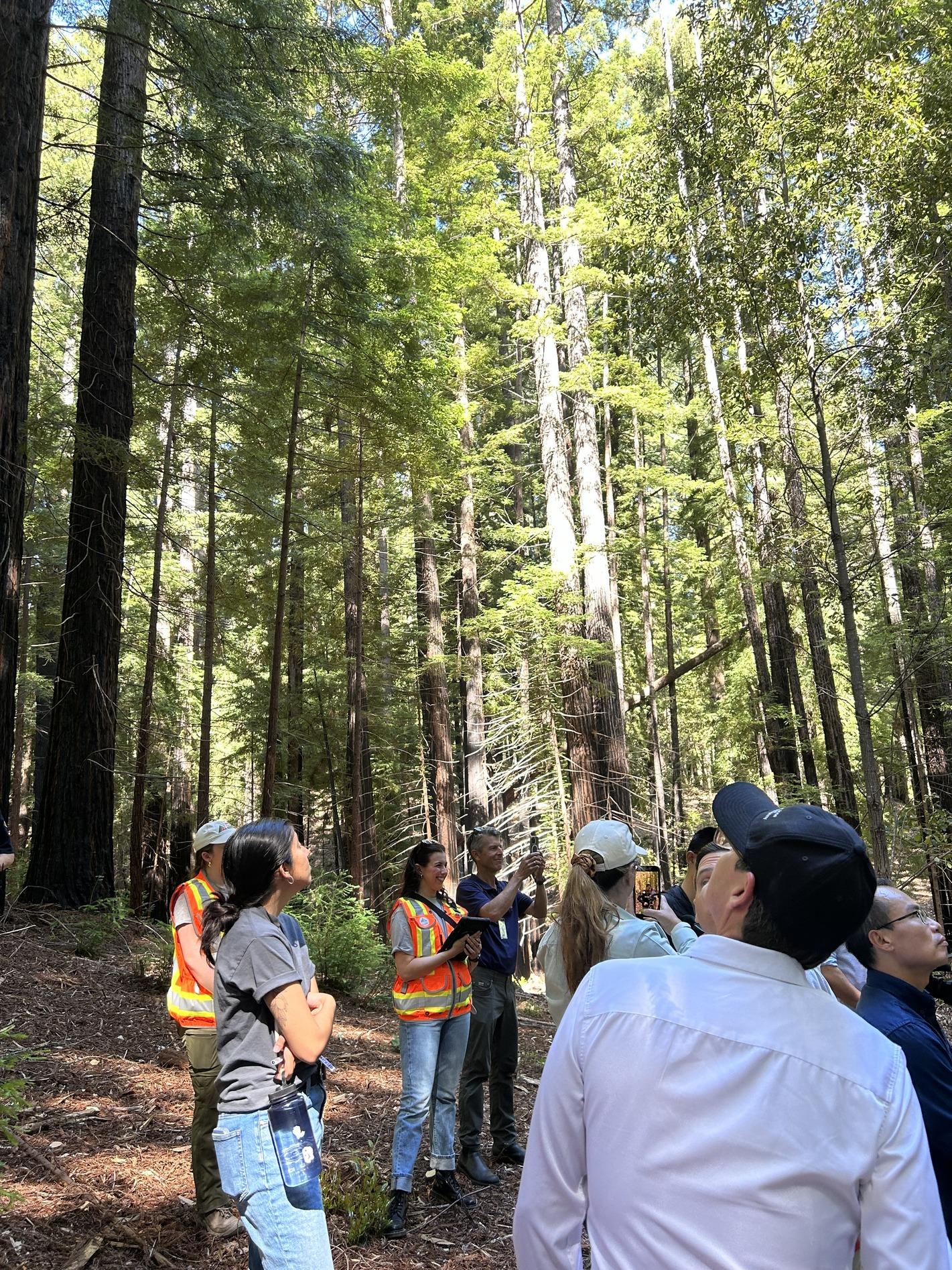 a guided tour of the Los Gatos Creek Watershed