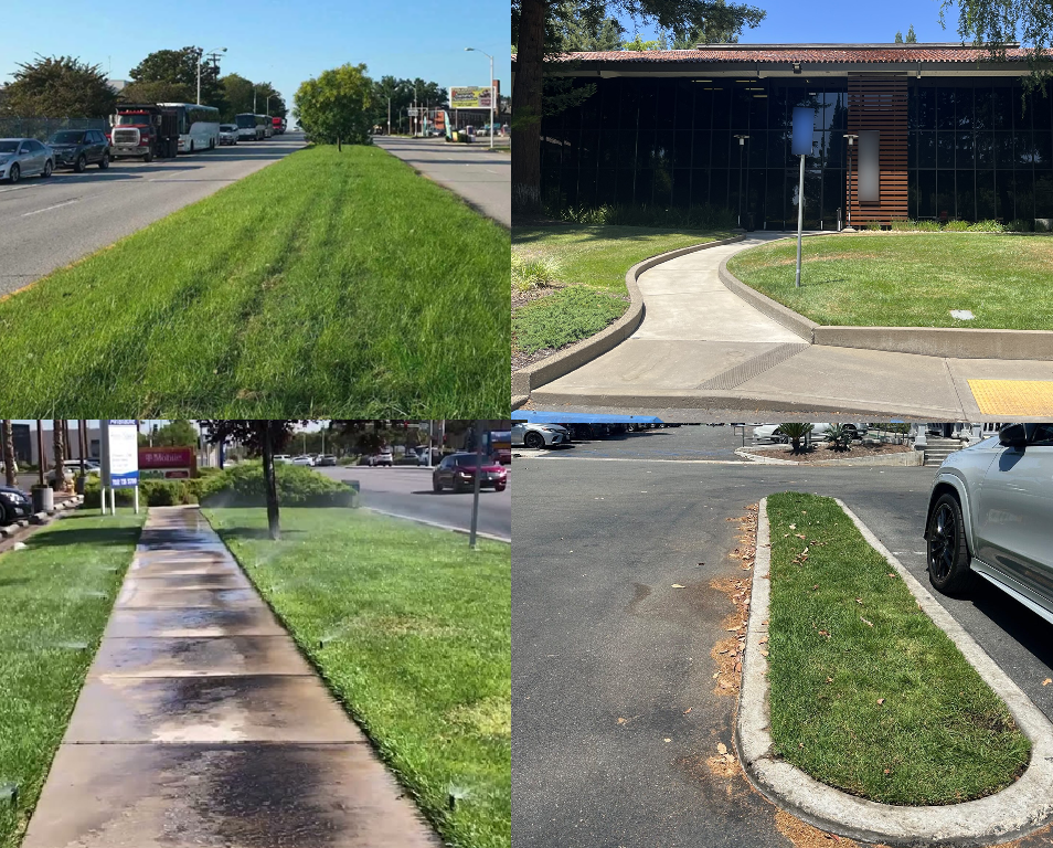 collage image of grassy locations