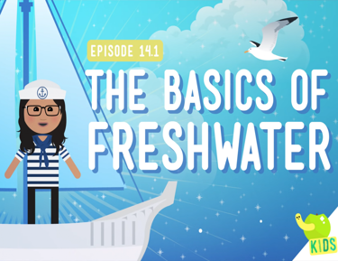 The Basics of Freshwater poster image