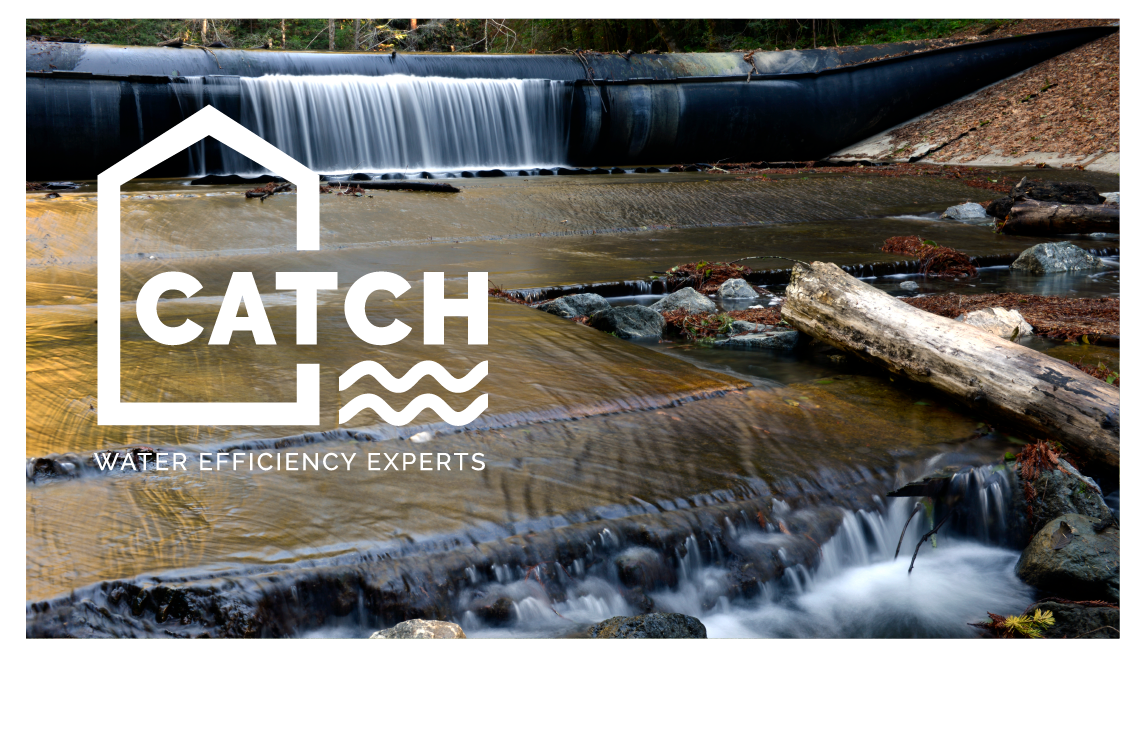 waterfall with CATCH logo over it
