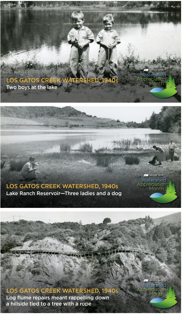 Los gatos creek watershed back in the 1940s