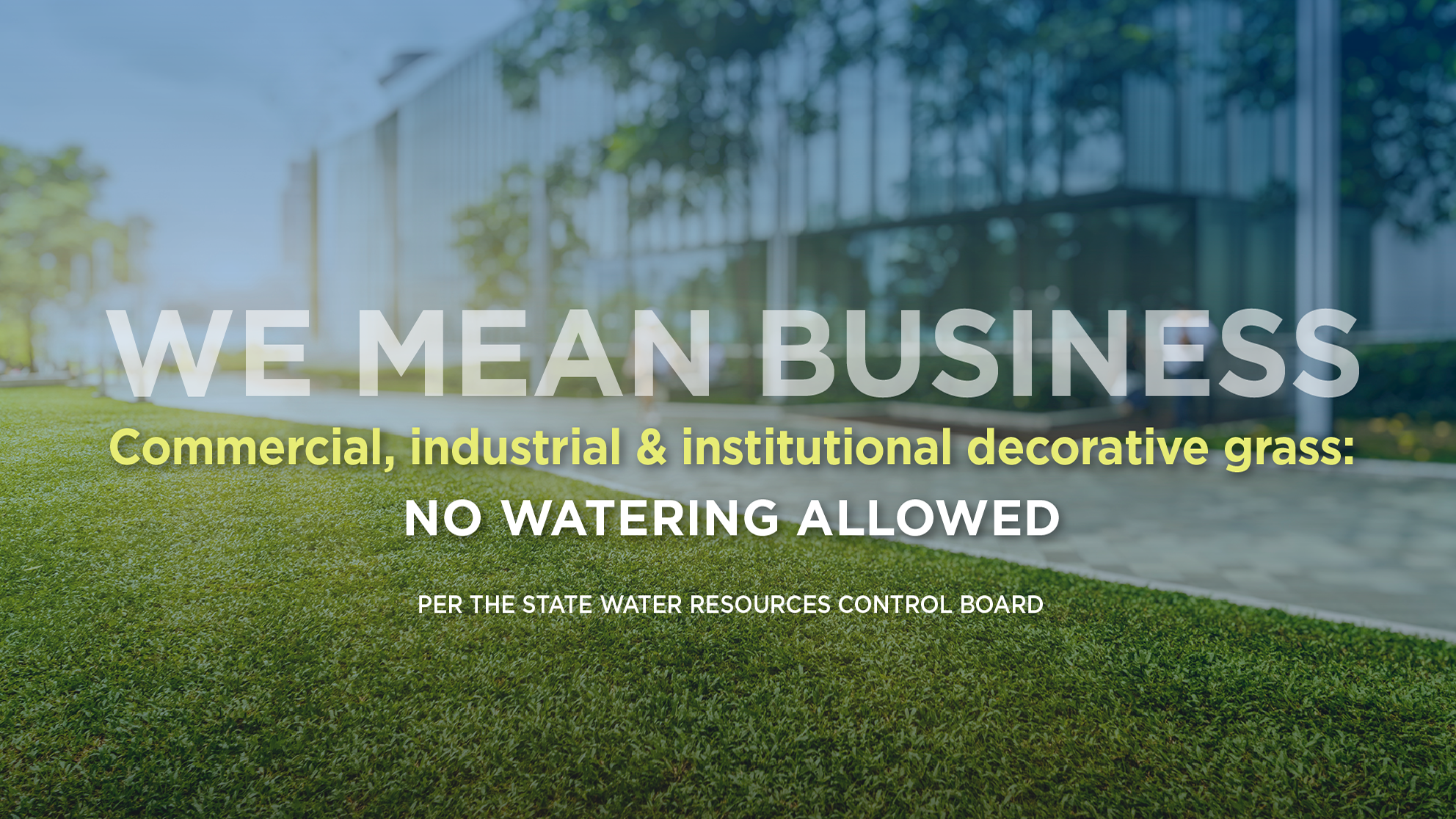 a graphic of decorative grass that says no watering allowed