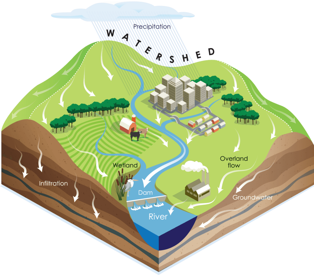 watershed informational graphic