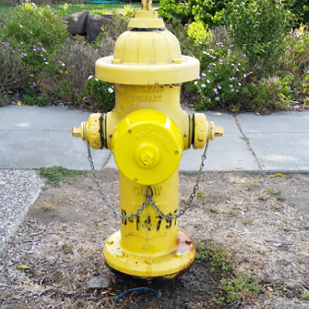 an acoustic leak detector in the ground by a hydrant